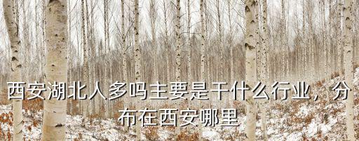西安湖北人多嗎主要是干什么行業(yè)，分布在西安哪里