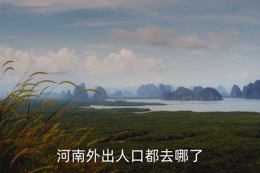 河南外出人口都去哪了