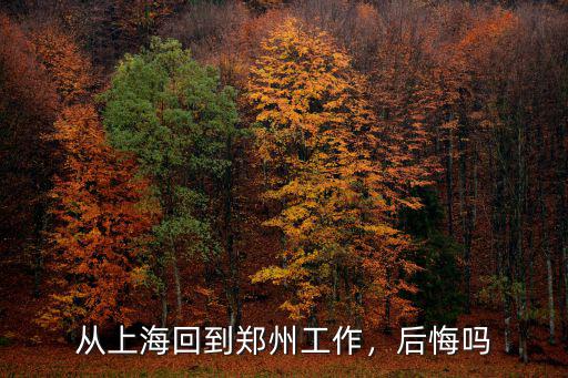 從上海回到鄭州工作，后悔嗎