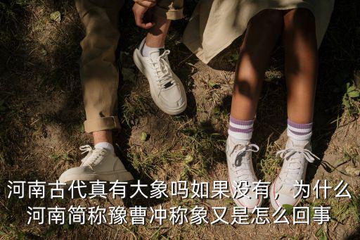 河南古代真有大象嗎如果沒有，為什么河南簡稱豫曹沖稱象又是怎么回事