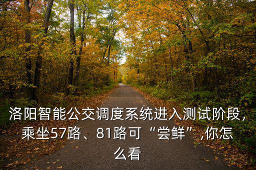 洛陽智能公交調度系統進入測試階段，乘坐57路、81路可“嘗鮮”,你怎么看