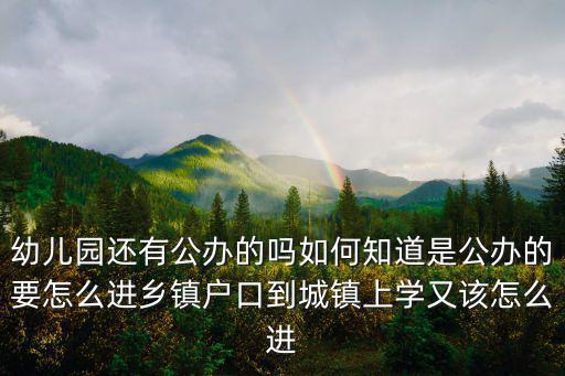 周口公立幼兒園怎么可以進,怎么樣才能進公立幼兒園