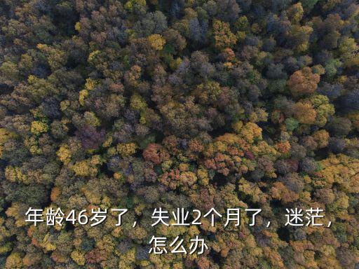 年齡46歲了，失業(yè)2個月了，迷茫，怎么辦