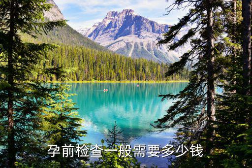 河南社旗縣孕前檢查要多少錢,孕前檢查大概需要多少錢