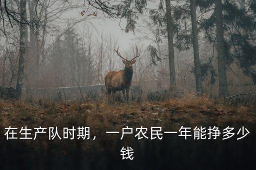 在生產隊時期，一戶農民一年能掙多少錢