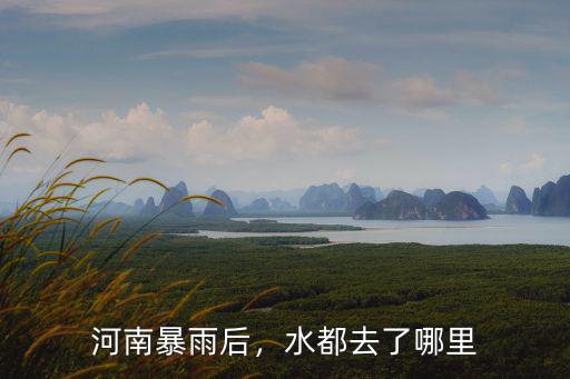 河南暴雨后，水都去了哪里