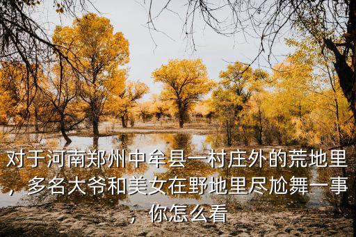 對于河南鄭州中牟縣一村莊外的荒地里，多名大爺和美女在野地里盡尬舞一事，你怎么看