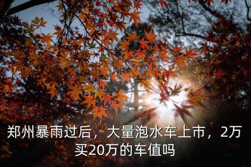 鄭州暴雨過后，大量泡水車上市，2萬買20萬的車值嗎