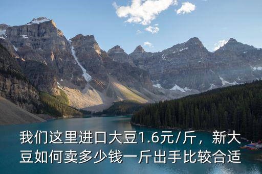 我們這里進口大豆1.6元/斤，新大豆如何賣多少錢一斤出手比較合適