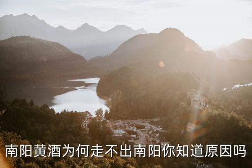 南陽黃酒為何走不出南陽你知道原因嗎