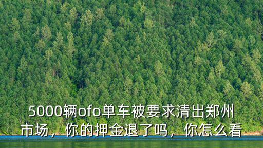 5000輛ofo單車被要求清出鄭州市場，你的押金退了嗎，你怎么看
