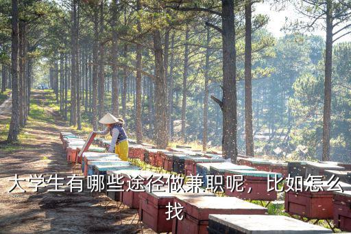 大學生有哪些途徑做兼職呢，比如怎么找
