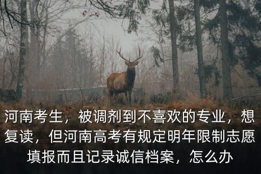 2019年河南有多少復讀生,今年河南高考有20萬復讀生