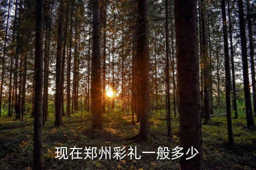 鄭州結婚送多少禮金,現在鄭州彩禮一般多少