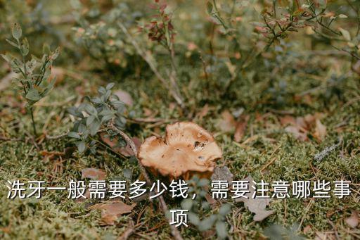 洗牙一般需要多少錢，需要注意哪些事項