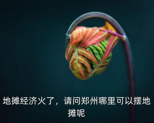 地攤經濟火了，請問鄭州哪里可以擺地攤呢