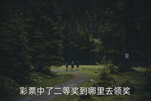 在河南中了彩票一等獎(jiǎng)去哪里兌獎(jiǎng),彩票中了一等獎(jiǎng)