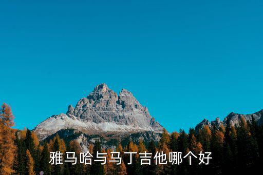 河南去哪里買馬丁吉他,雅馬哈與馬丁吉他哪個(gè)好