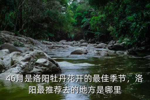 46月是洛陽(yáng)牡丹花開(kāi)的最佳季節(jié)，洛陽(yáng)最推薦去的地方是哪里
