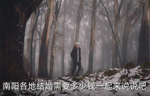 南陽(yáng)結(jié)婚一共需要多少錢(qián),南陽(yáng)各地結(jié)婚需要多少錢(qián)
