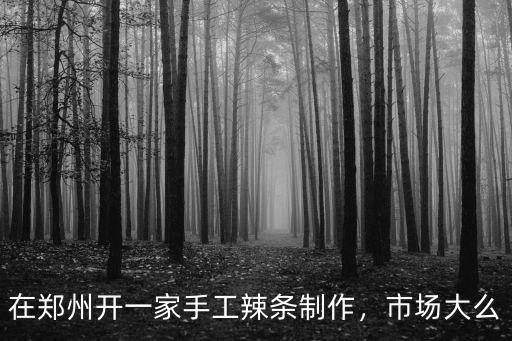在鄭州開一家手工辣條制作，市場大么
