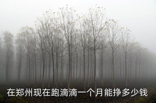 在鄭州現在跑滴滴一個月能掙多少錢
