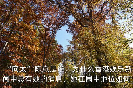 “向太”陳嵐是誰，為什么香港娛樂新聞中總有她的消息，她在圈中地位如何