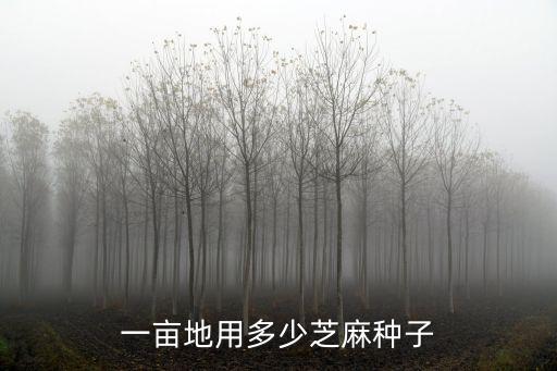 周口一畝芝麻需要多少種子,一畝地用多少芝麻種子