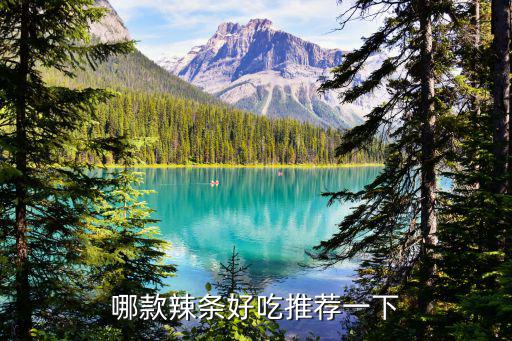 哪款辣條好吃推薦一下