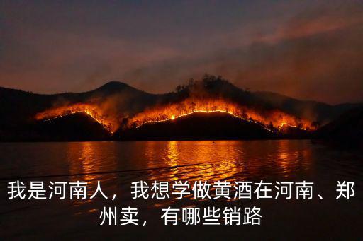 鄭州哪里買南陽黃酒,我想學(xué)做黃酒在河南