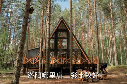 洛陽哪里看相好,洛陽哪里唐三彩比較好