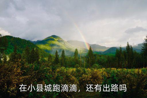 駐馬店平輿跑滴滴怎么樣,跑滴滴怎么樣啊