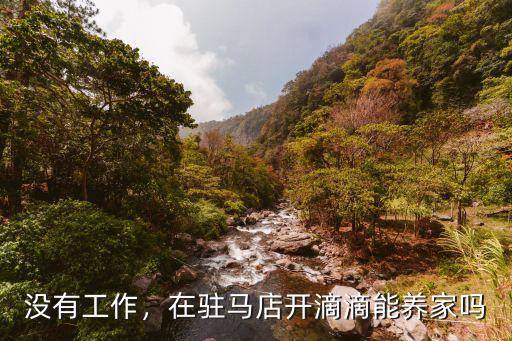 沒有工作，在駐馬店開滴滴能養(yǎng)家嗎