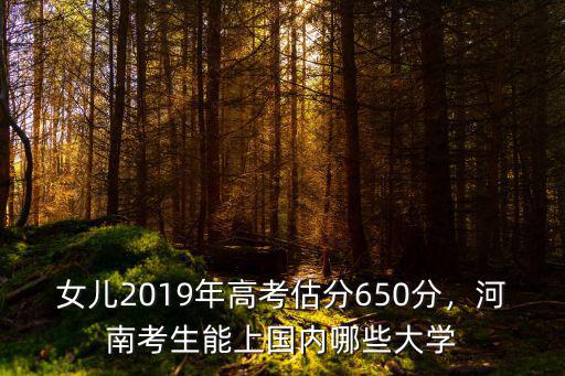 河南高考2019文科600分多少名,魯山一高文科排名年級50名