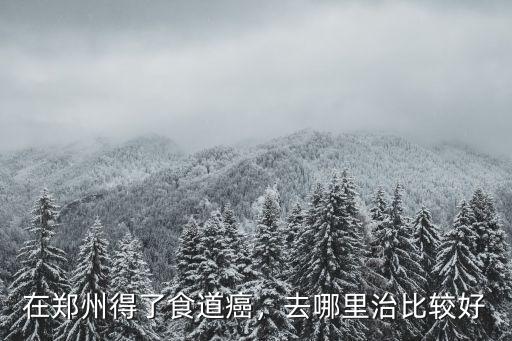 在鄭州得了食道癌，去哪里治比較好