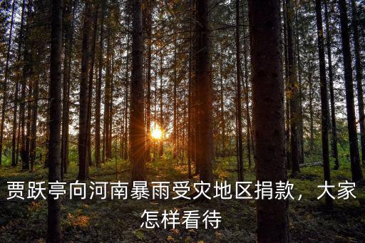 河南災區捐款怎么捐款,華為給河南災區捐款三千萬