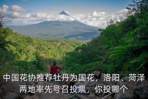 中國(guó)花協(xié)推薦牡丹為國(guó)花，洛陽(yáng)、菏澤兩地率先號(hào)召投票，你投哪個(gè)