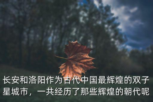 河南洛陽(yáng)一共經(jīng)歷了多少朝代,有哪些朝代在洛陽(yáng)定都