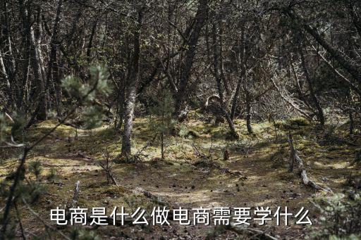 駐馬店哪里有學做電商的,我想學做電商