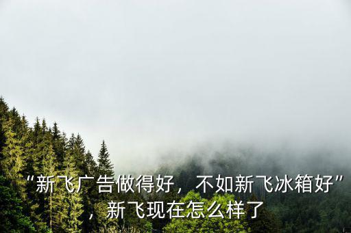 河南新飛電器狀況怎么樣,新飛電器為什么會破產