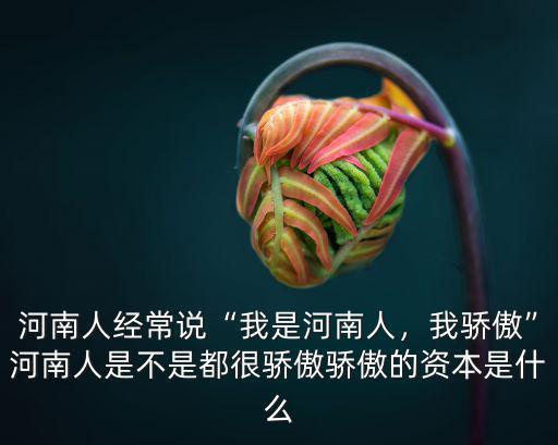 河南人經(jīng)常說“我是河南人，我驕傲”河南人是不是都很驕傲驕傲的資本是什么