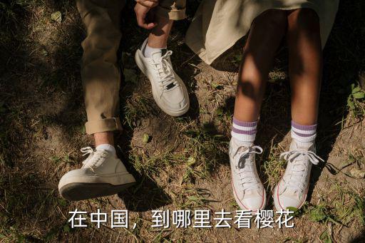 在中國(guó)，到哪里去看櫻花