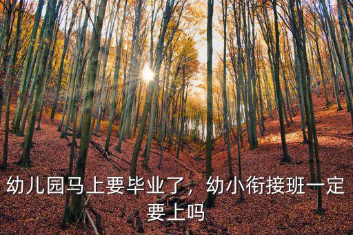 幼兒園馬上要畢業(yè)了，幼小銜接班一定要上嗎