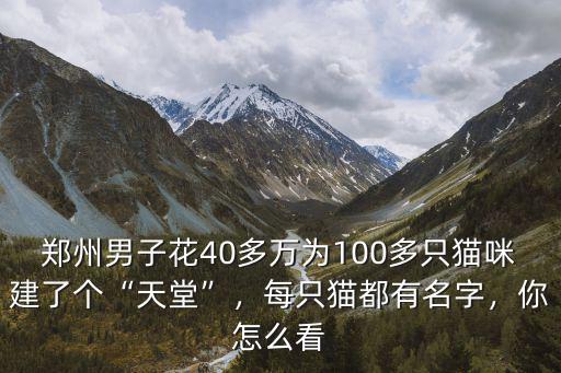 鄭州男子花40多萬為100多只貓咪建了個“天堂”，每只貓都有名字，你怎么看