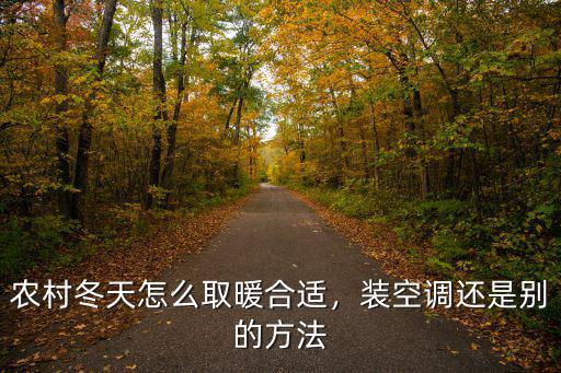 農村冬天怎么取暖合適，裝空調還是別的方法