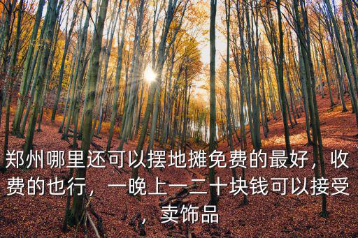 鄭州哪里還可以擺地攤免費的最好，收費的也行，一晚上一二十塊錢可以接受，賣飾品