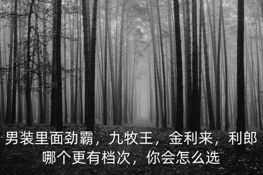 安陽勁霸男裝在哪里,男裝里面勁霸