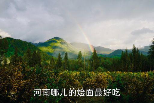 河南哪兒的燴面最好吃