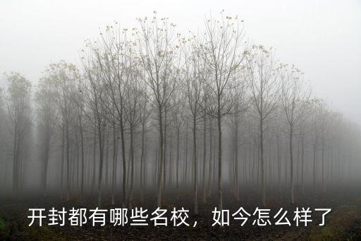 開封大學(xué)校長怎么了,河南大學(xué)和開封大學(xué)都在開封