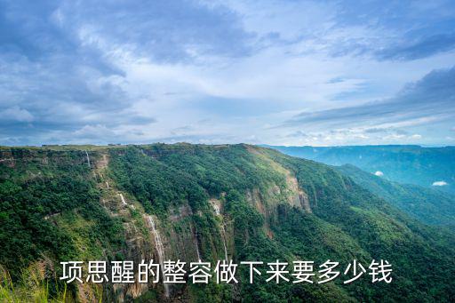 項思醒的整容做下來要多少錢